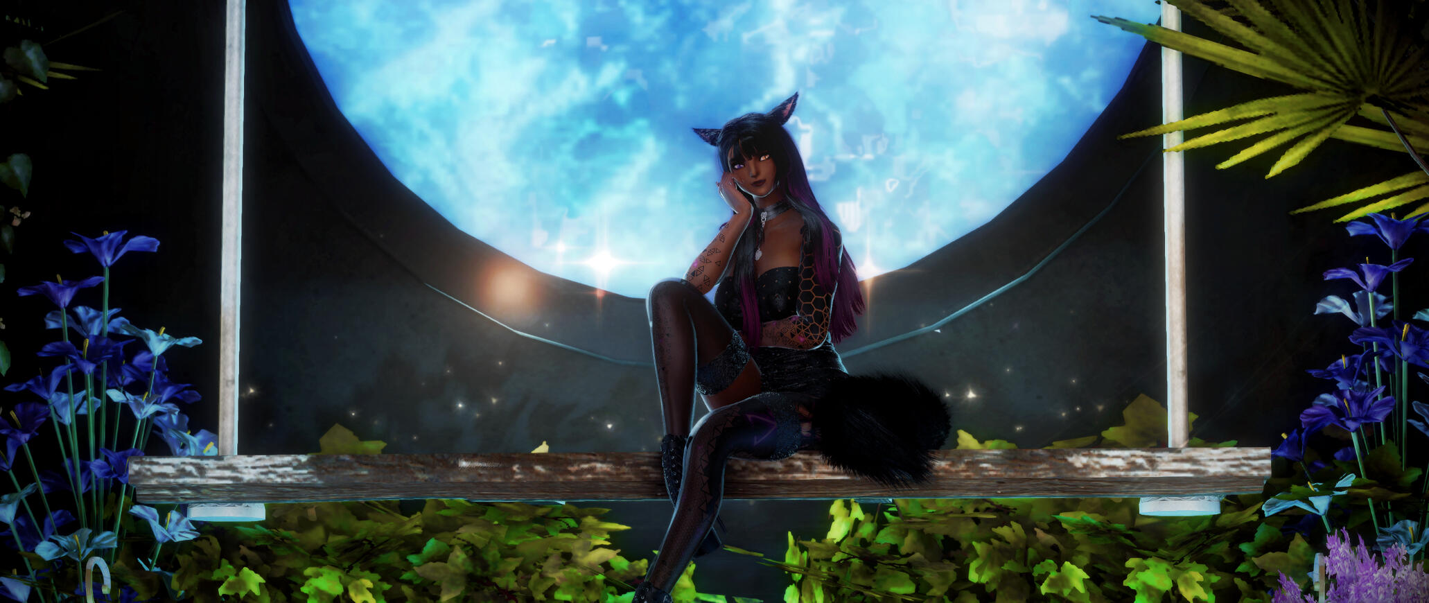 Moon-Soaked Kitten